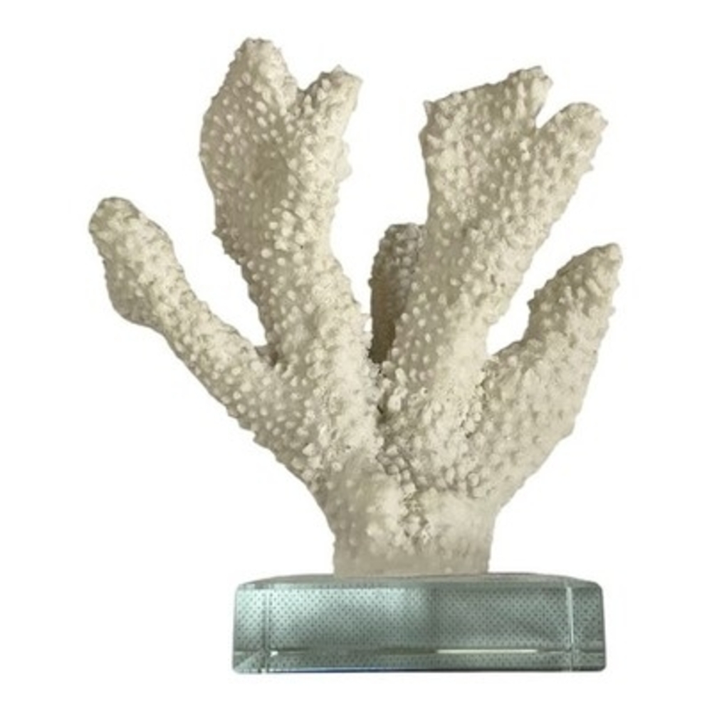 Unique Artisan White Staghorn Coral Sculpture Glass Base Nautical Coastal Decor